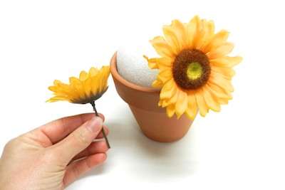 DIY Floral Crafts