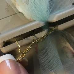 tIghtening-skip-knot