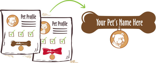 New Year gifts for pets 