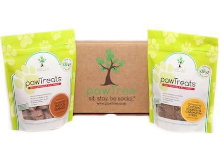 Christmas Gifts for Dogs