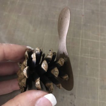 Glue Body to Pine Cone
