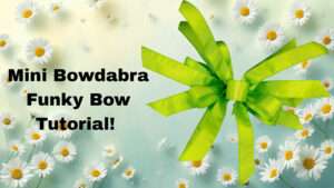 Video – How to make a cute Mini Bowdabra funky bow