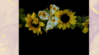 WWW.BOWDABRA.COM